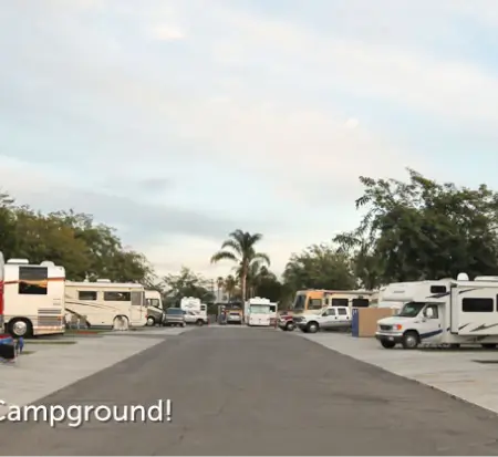 RVs parked at a campground roadway.