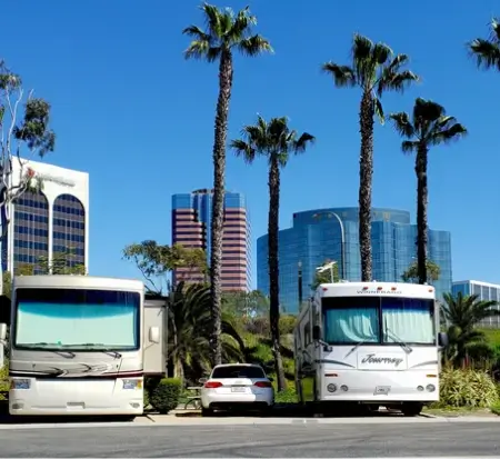RVs and palm trees in urban setting