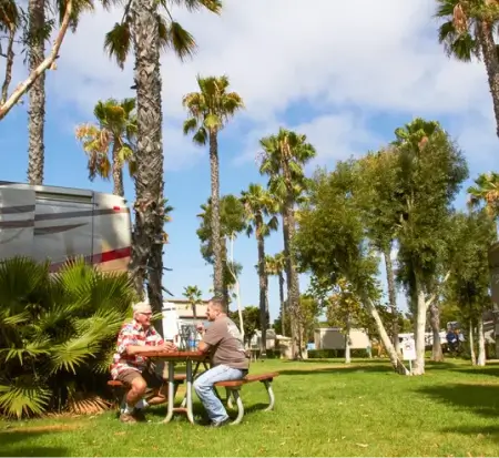 Two people enjoying picnic under palm trees at RV park.
