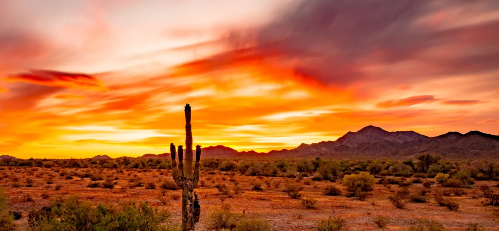 Sunset over desert with saguaro cactus and mountains.