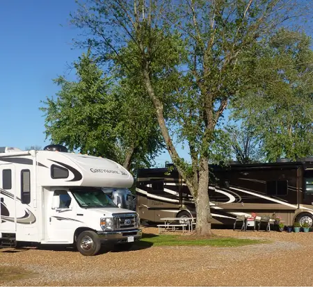RVs parked at a sunny campground.