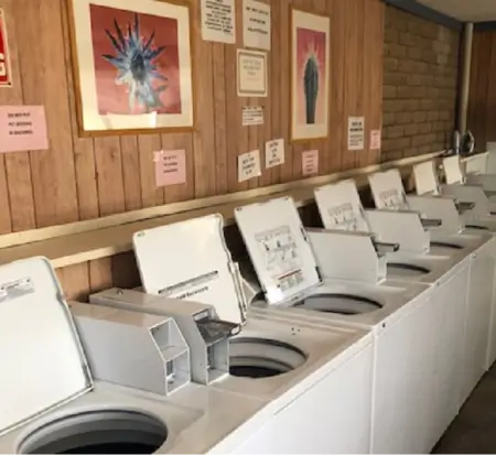 Row of washing machines at laundromat.