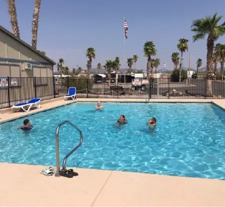 People enjoying sunny pool day with palm trees.