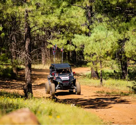 Off-road vehicle driving through a forest trail.