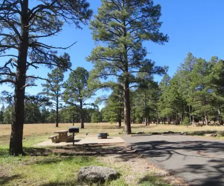 pine grove rv campground state park flagstaff az 02