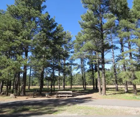 pine grove rv campground state park flagstaff az 03