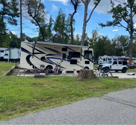 RV motorhome parked at a campsite with dogs.