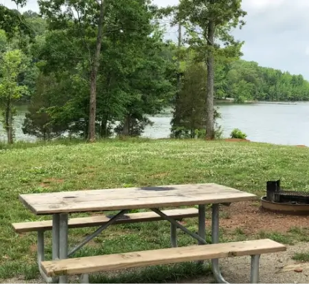 Wooden picnic table by tranquil lakeside with trees