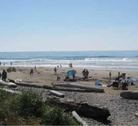 Oregon Coast RV Parks - beverly beach state park rv campground oregon coast 04