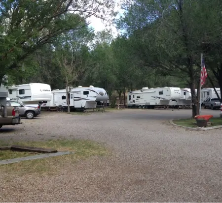 RV campground with trees and gravel road.