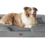 rv dog bed