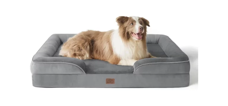 Rv Dog Bed: Quality, Comfort, And Support